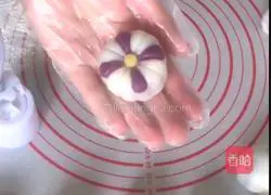 Snow Skin Mooncake Recipe Illustration 12