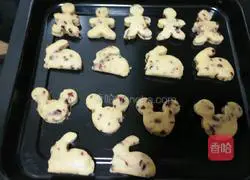 Cranberry Cookies (Novice) Recipe Illustration 6