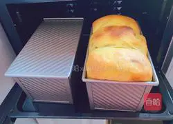 Illustration of homemade pumpkin toast bread 11