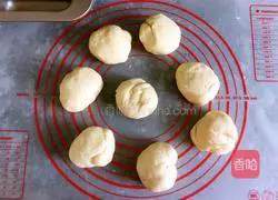 Jenny’s Mini Hot Dog Buns Recipe Illustration 6