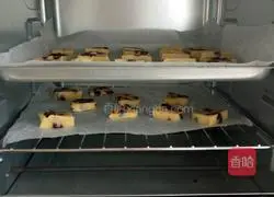 Cranberry Cookie Recipe Illustration 11