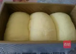 Raisin toast Illustration of the company’s approach 11