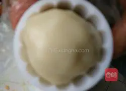 Illustration of how to make homemade snowskin mooncakes 18
