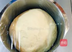 100% Medium Hokkaido Toast (Soft girl) illustration 2