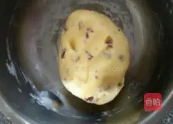 Blueberry Cookie Recipe Illustration 7