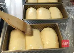 100% Medium Hokkaido Toast (Soft Girl) Recipe Illustration 10