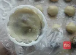 Cantonese five-nut mooncake recipe 14