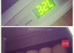 Illustration of how to make butter toast 4