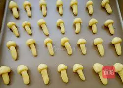 Mushroom biscuits recipe 10