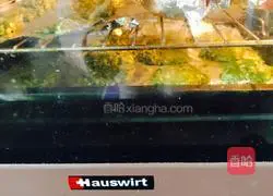 Green juice oatmeal biscuits recipe 7