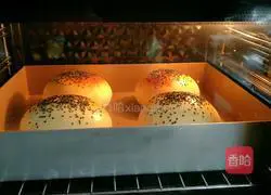 Illustration of how to make hamburger embryos (without mold version) 12