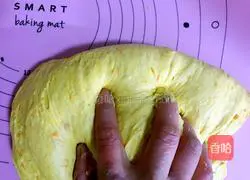 Pumpkin Raisin Illustration of how to make bread 8