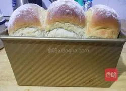 Rye Honey Toast Recipe Illustration 19