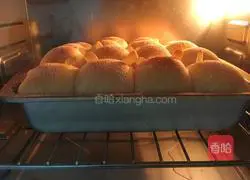 Illustration of how to make kitten squeeze buns 9