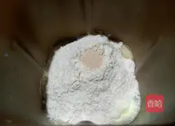 Illustration of two-color bean paste toast 2