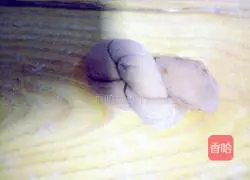 Brown Sugar Amaranth Juice Bread Recipe Illustration 17