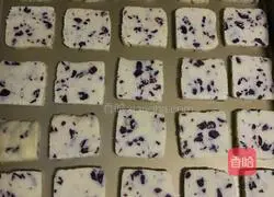 Crander Illustration of how to make raspberry cookies 10