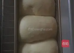 Illustration of how to make quick toast for lazy people 7