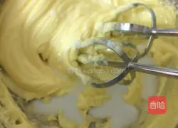 Coconut Cookies Recipe Illustration 6