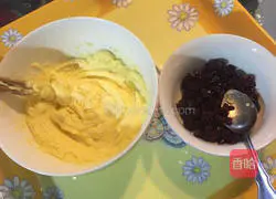 Cranberry Cookies - Illustration of Beginner's Starter Work 2