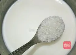 Yoghurt fruit tart recipe 2