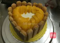 Illustration of finger biscuit cake 7