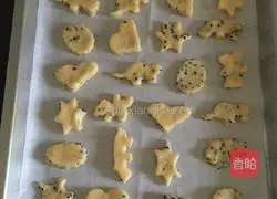 Illustrations of how to make interesting cookies 9