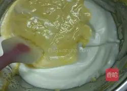 Camouflage chiffon cake recipe 10