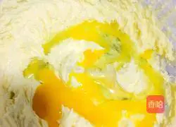 Coconut Cookies Recipe Illustration 4