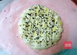 Apple pie (hand pie version) recipe 8