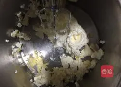 Cheese Popsicle Tart Recipe 9