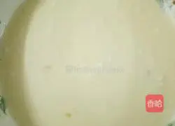 Whole Egg Tart Recipe Illustration 6