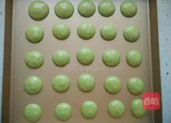 Spinach Illustration of making mini clay cakes 13