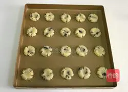 Coconut and blackcurrant shortcake recipe 9