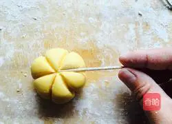 Pumpkin pie ~ Recipe 14