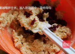 Cranberry Cookies Illustration 10 