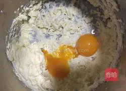 Cheese Popsicle Tart Recipe 11