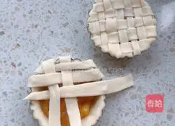 Yellow Peach Pie Recipe Illustration 6