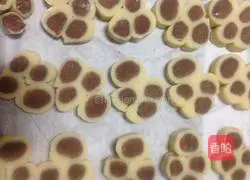 Animal foot biscuits recipe 10