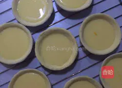 Illustration of homemade egg tarts 12