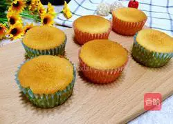 Milk Cake Recipe Illustration 1