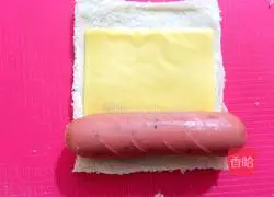 Cheese Hot Dog Recipe Illustration 5