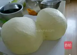 Red Panda Cake Illustration of practice 12