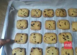 Cranberry Cookie Recipe Illustration 8