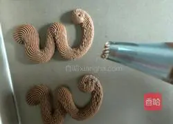 Cocoa Viennese Cookie Recipe Illustration 8