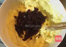 Cranberry Cookies - Illustration of Beginner's Starter Work 4