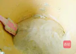 Illustration of how to make egg matcha cookies 7