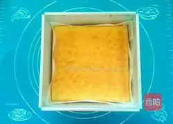 New Zealand cheese cube recipes 12