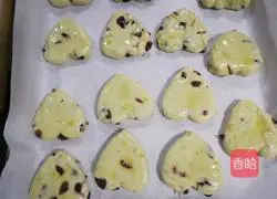 Cranberry scone recipe 8