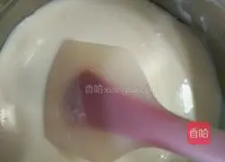 Yoghurt mousse recipe 11